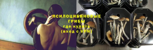 первитин Алексин